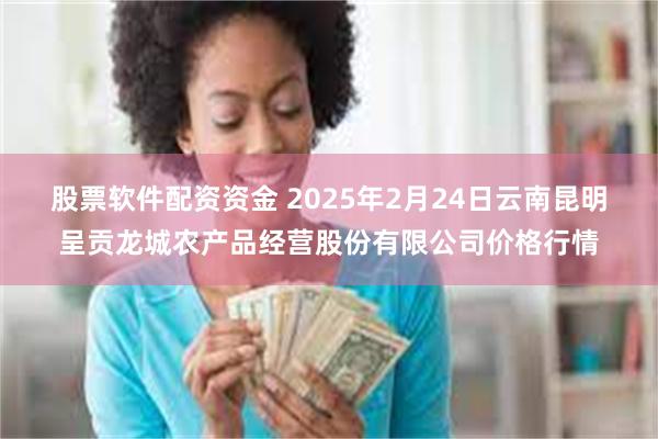 股票软件配资资金 2025年2月24日云南昆明呈贡龙城农产品经营股份有限公司价格行情