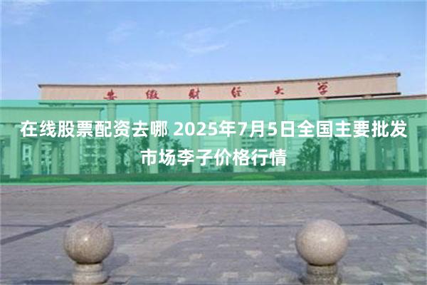 在线股票配资去哪 2025年7月5日全国主要批发市场李子价格行情